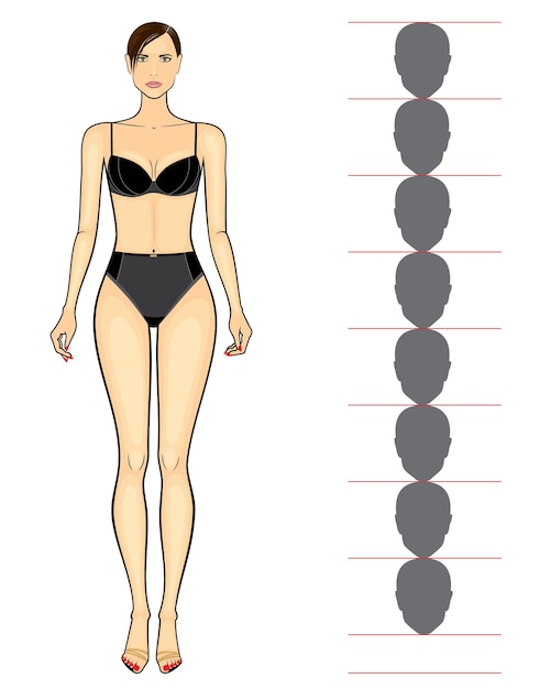 Illustrazione vettoriale delle proporzioni del corpo femminile del contorno, isolato, in colore nero