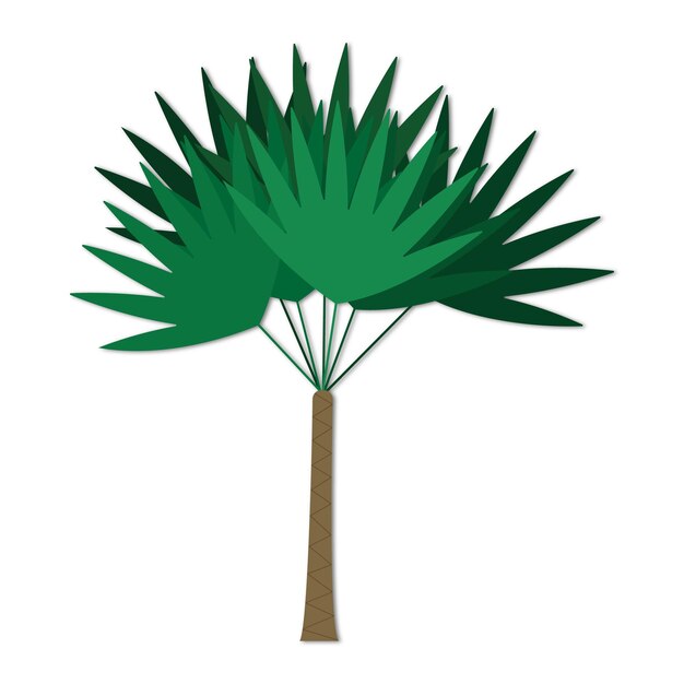 Vector vector illustration palm tree design white background