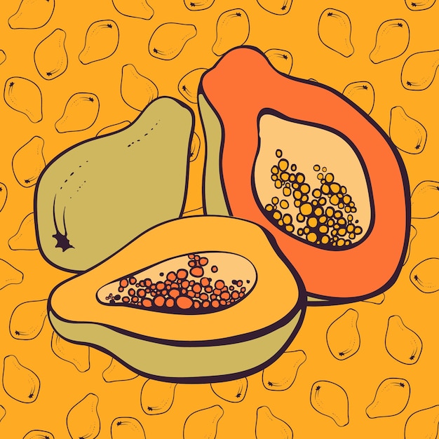 Illustrazione vettoriale di papaya frutta e mezza illustrazione disegnata a mano