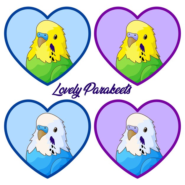 vector illustration of parakeets set