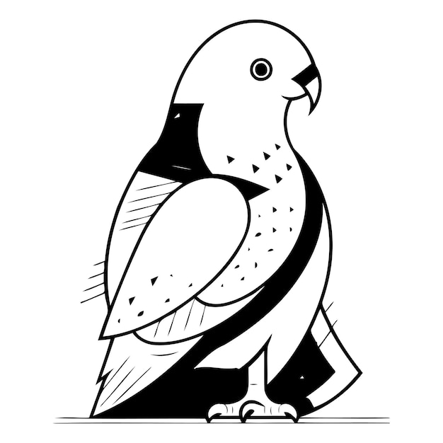 Vector illustration of a parrot Parrot on a white background