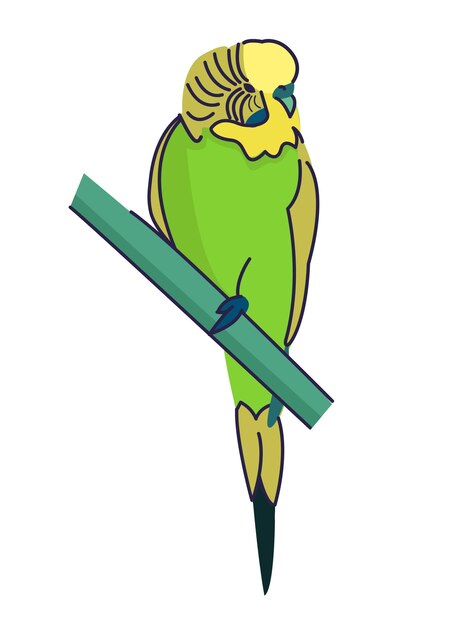 Vettore illustrazione vettoriale di un pappagallo