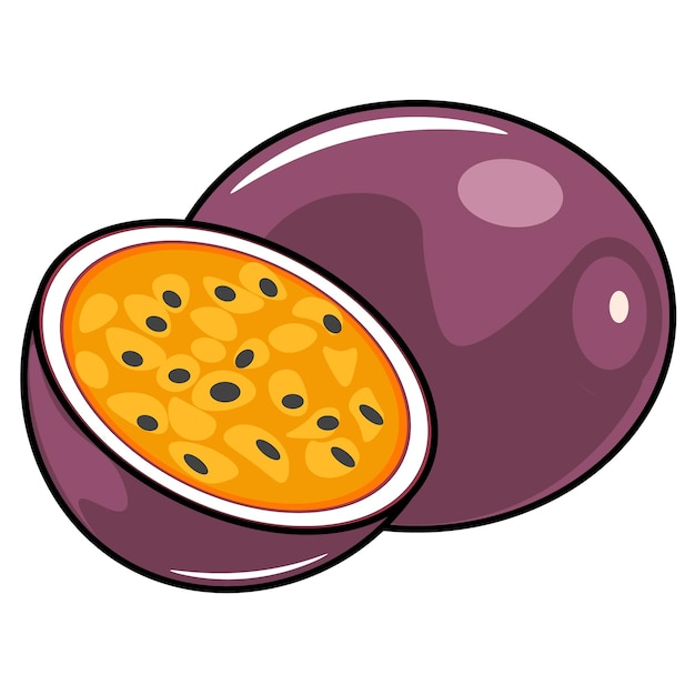 Vector illustration of passion fruit