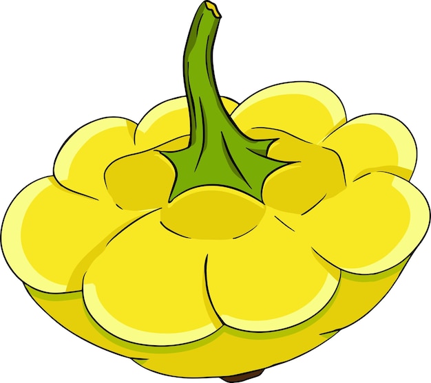 Vector illustration of a patisson. Patty pan squash isolated on white background.Dish-shaped pumpkin