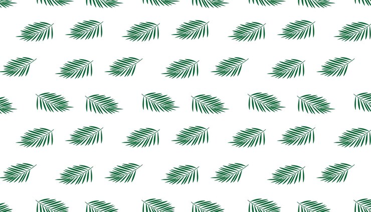 Vector ベクトルイラスト白い背景の上の緑のバナナの葉のパターン