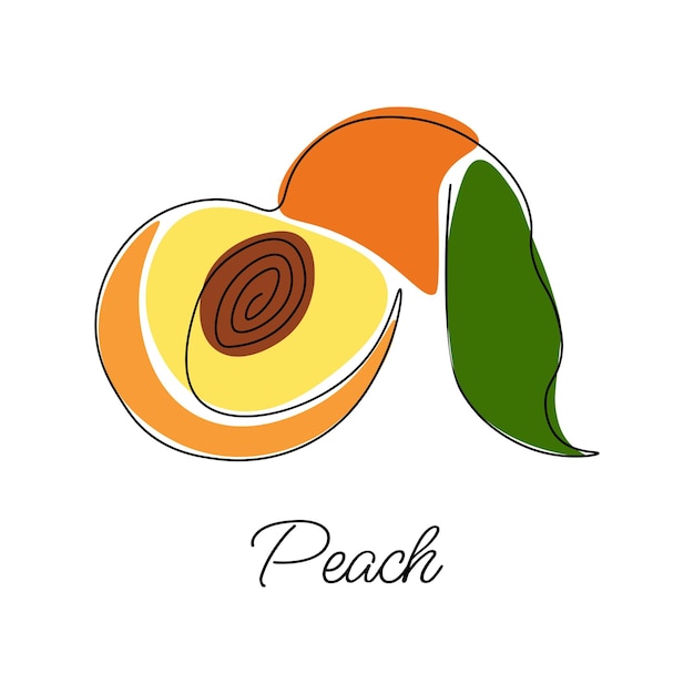 Vector illustration of peach with lettering