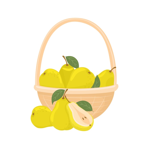 Vector illustration of pear