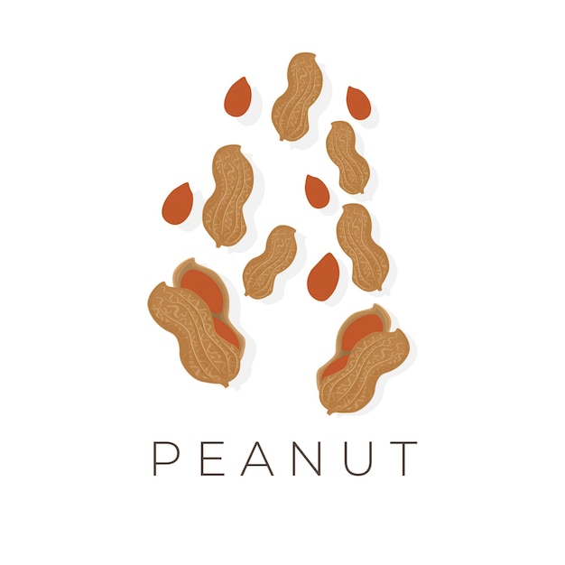 Vector Illustration of Peeled Peanuts and Nuts With Skins Collection