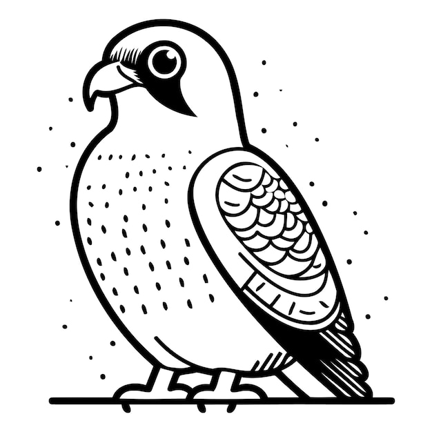 Vector illustration of a peregrine bird on white background