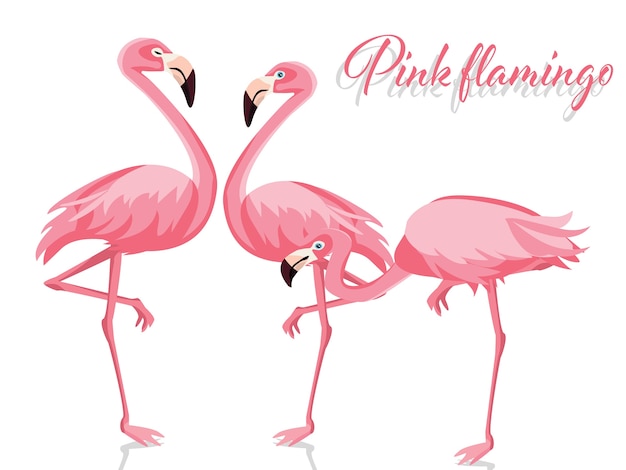 Vector illustration of pink flamingo