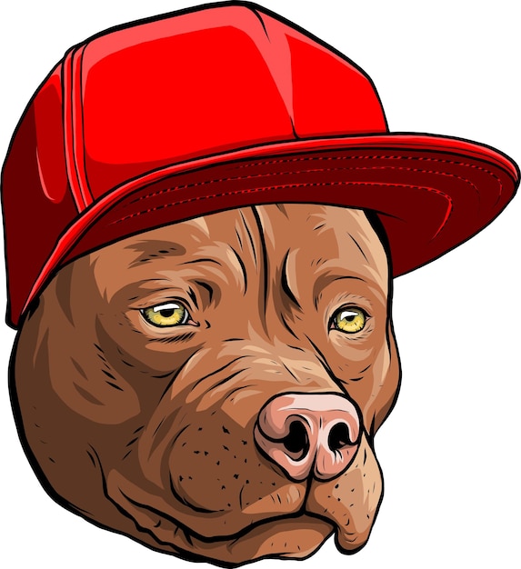 vector illustration of Pitbull in cap