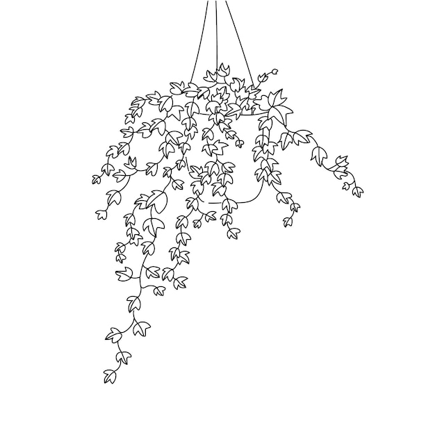 Vettore pianta di illustrazione vettoriale contorno della linea della mano dell'elica di hedera