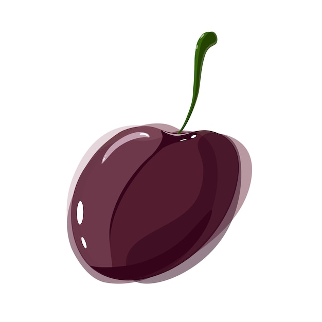 Vector vector illustration of plum in watercolor style