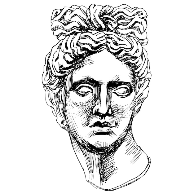 Vector vector illustration of portrait of apollo belvedere black and white line art of antique sculpture