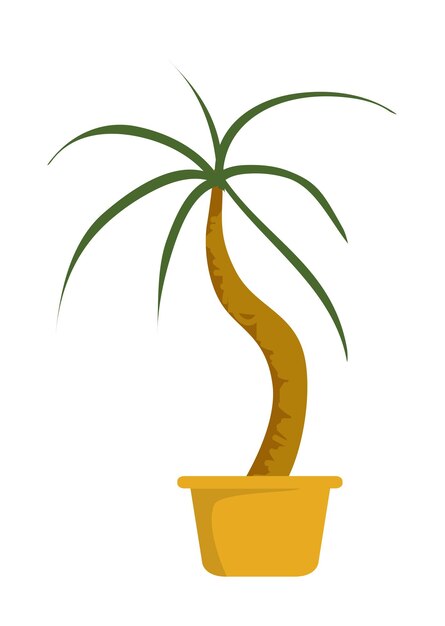 Vector vector illustration of potted plant in cartoon style