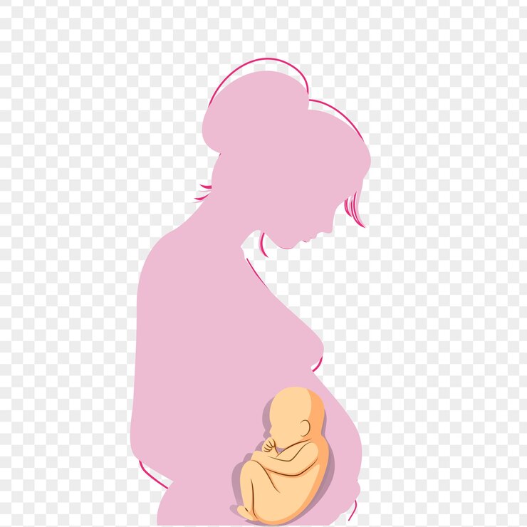 Vector illustration of pregnant woman with baby on transparent background