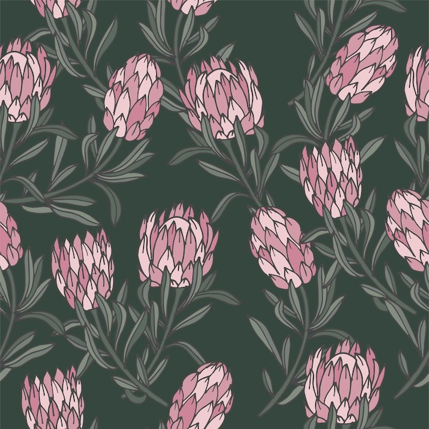 Vector illustration protea flower vintage engraved style seamless pattern in retro botanical style