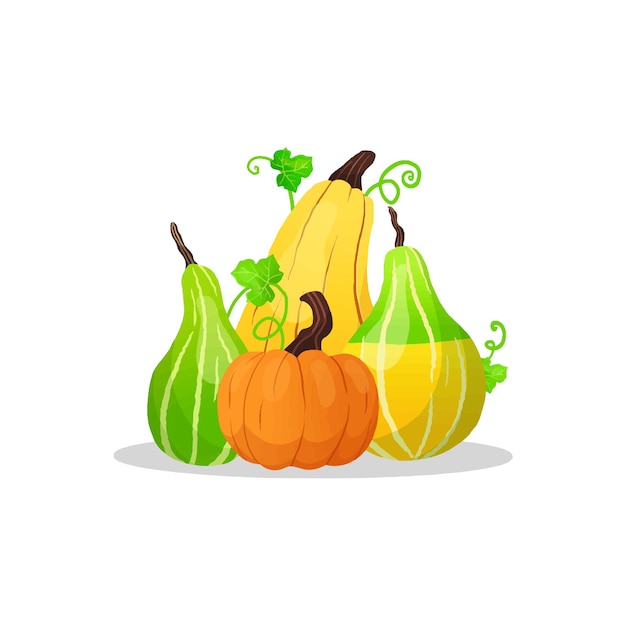 Vector Illustration Pumpkin Colorful Gradient Mascot