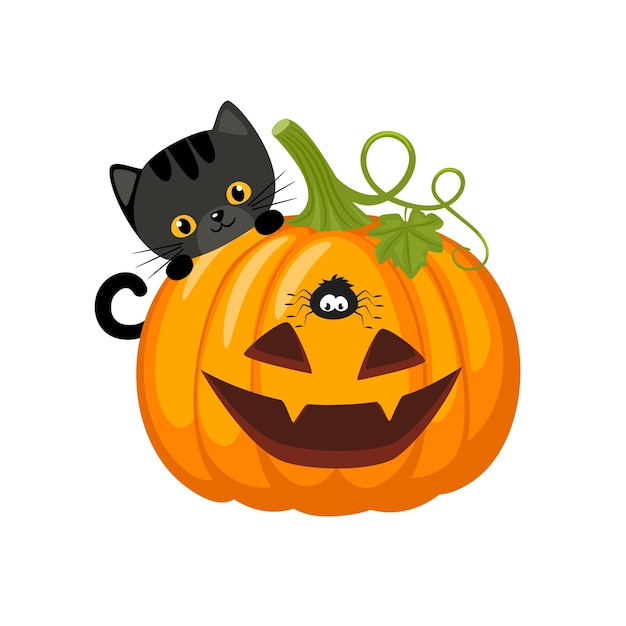 Vector illustration of pumpkin