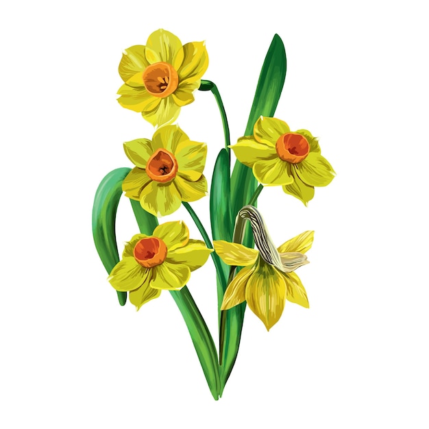 Illustrazione vettoriale di un coniglio decorato con fiori narcisi muscari e foglie verdi invito biglietti d'auguri illustrazione di pasqua