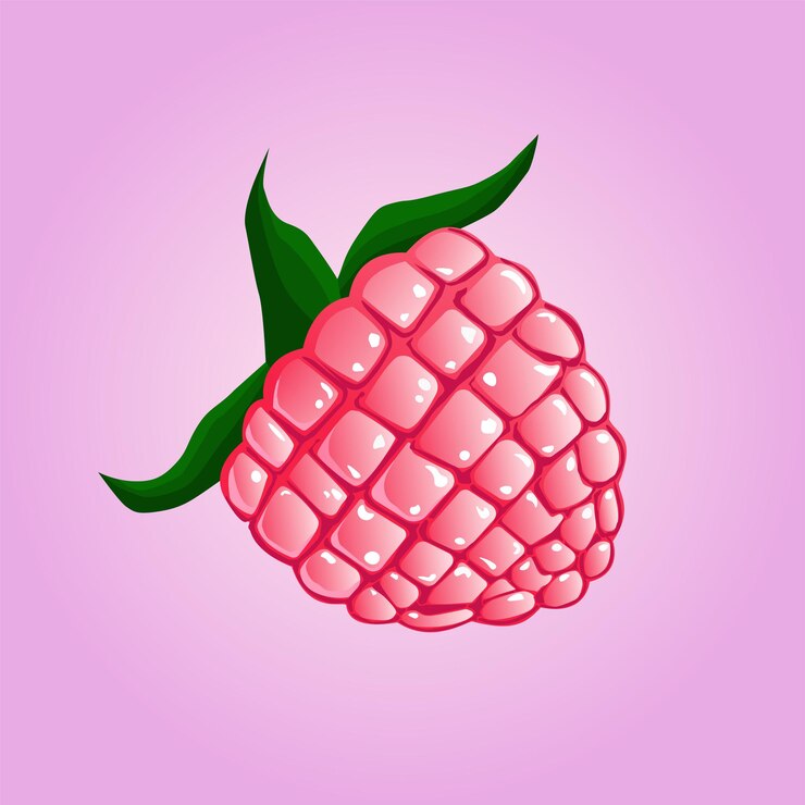 Vector vector illustration of a raspberry
