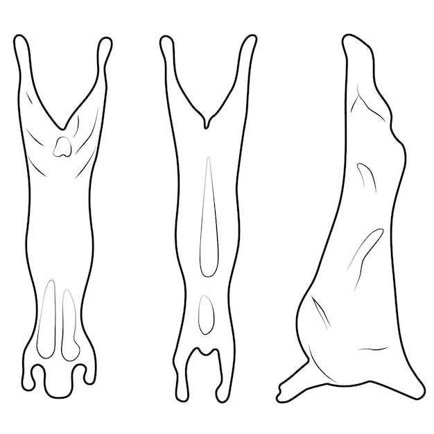 大きな動物の生肉 3 つの異なる部分のベクトル イラスト