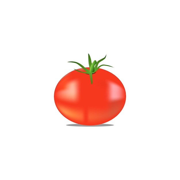 Vector vector illustration of realistic fresh tomato on white background