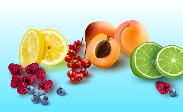 Vector vector illustration of realistic images of fruits and berries on a light blue background