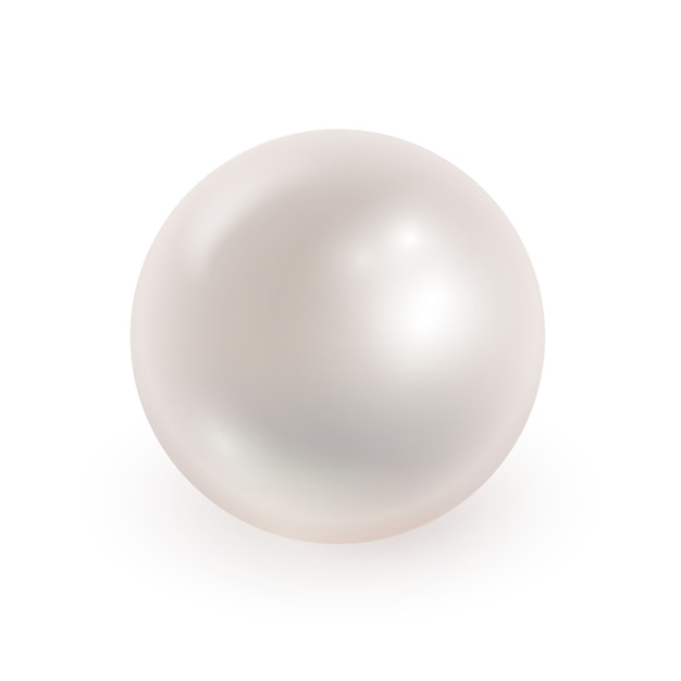 Vector vector illustration of realistic pearl isolated