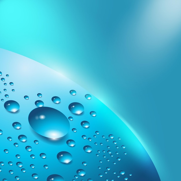vector illustration of realistic water drops with reflection isolated on background