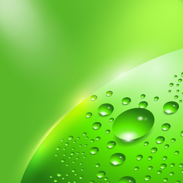 vector illustration of realistic water drops with reflection isolated on background