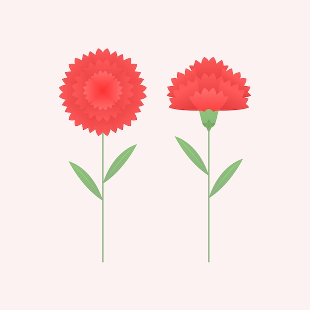 Vector vector illustration of red carnations