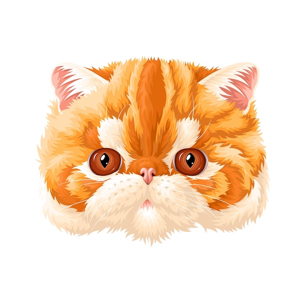 Vector illustration of red cat