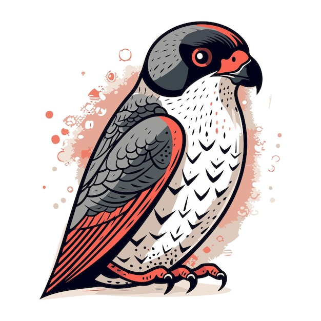 Vector illustration of a red necked falcon on a white background