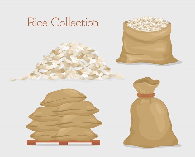 Vector vector illustration of rice collection. bags with rice, package, rice grains in flat style.