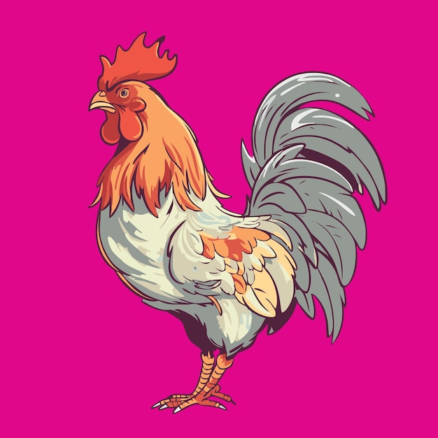 Vector illustration of a rooster Isolated on pink background