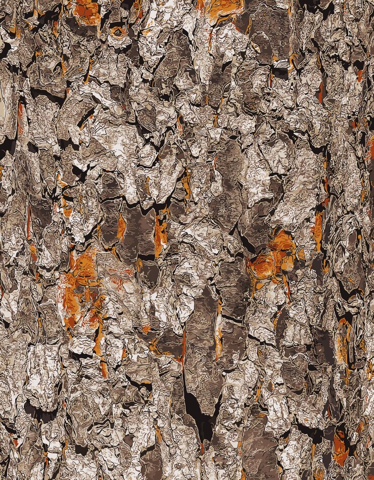 Vector vector illustration of rowan bark closeup texture of trunk of sorbus torminalis l background from living wood skin of forest nature