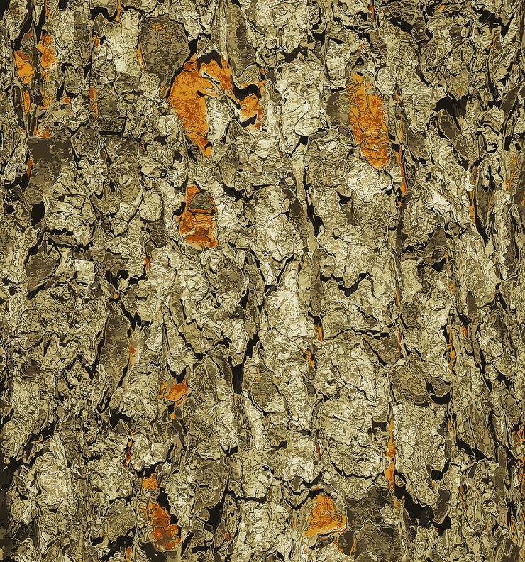 Vector vector illustration of rowan bark closeup texture of the trunk of sorbus torminalis l background from living wood skin of forest nature