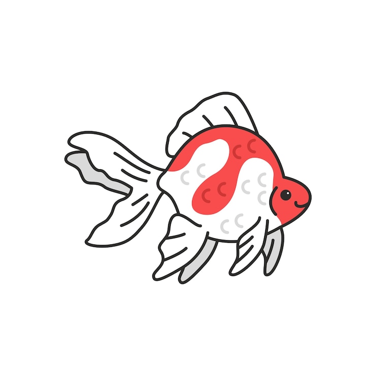 Vector 흰색 배경에 격리된 류킨 금붕어의 벡터 그림