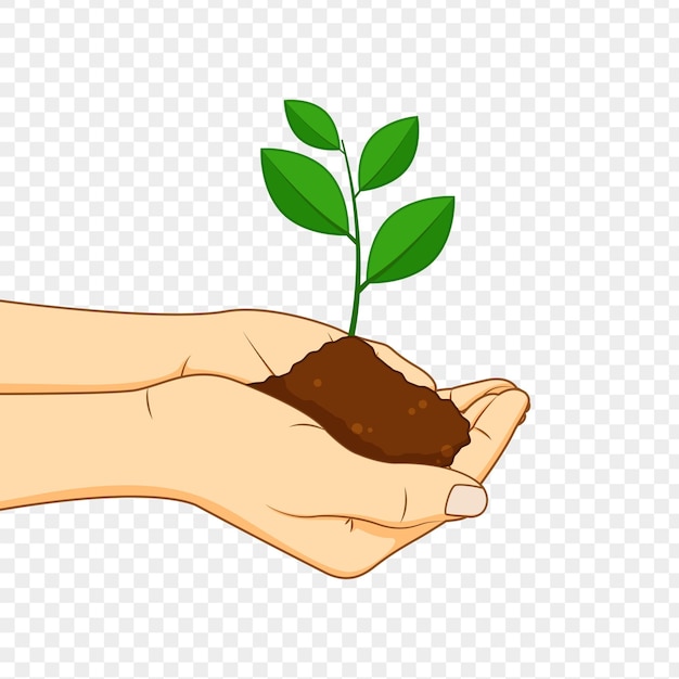 Vector illustration of sapling plant in hands on transparent background