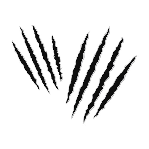 Premium Vector Vector illustration of scratch marks scratched paws of