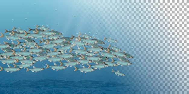 Vector vector illustration of the sea landscape school of fish cartoon underwater world with fish