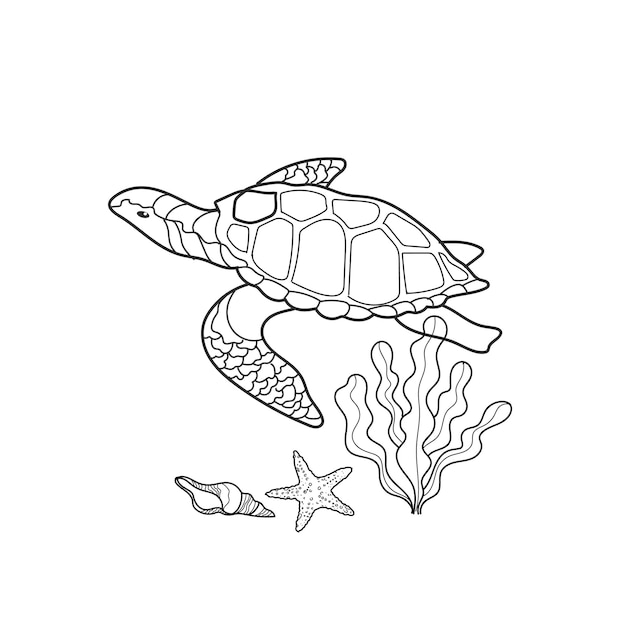 Vettore illustrazione vettoriale viaggio in mare su sfondo bianco alghe tartaruga e conchiglie