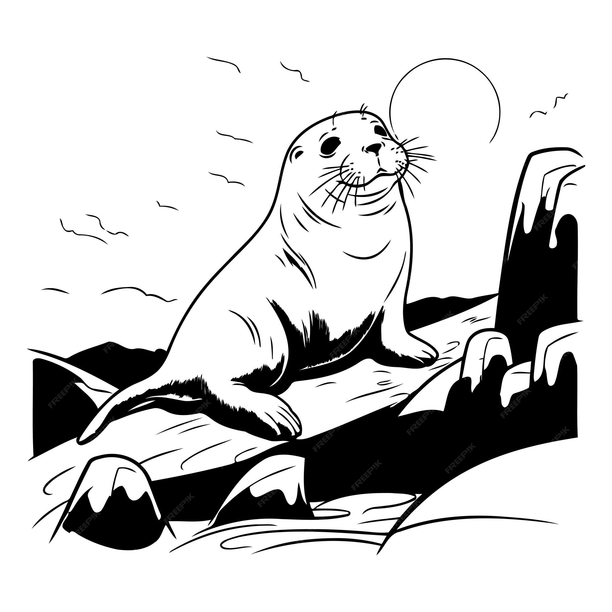 Premium Vector | Vector illustration of a seal on a rock black and