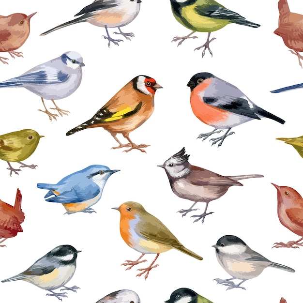 Vector vector illustration of seamless pattern with forest birds