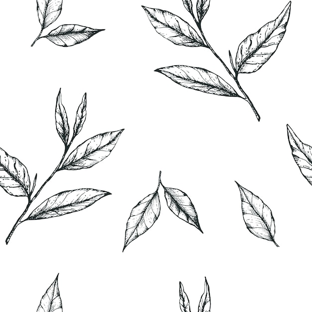 Vector illustration seamless pattern with simple hand-drawn tea leaves. Design for fabric, stationery or wrapping paper for tea, matcha, packaging, label