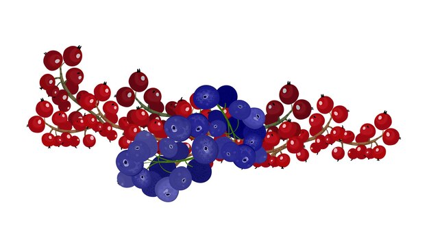 vector illustration of selected ripe berries on a isolated background