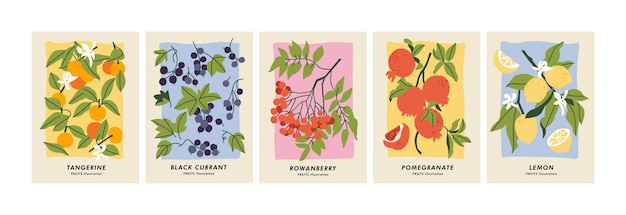 엽서 벽 아트 배너 배경에 대한 다른 과일 아트와 식물 포스터의 벡터 일러스트 레이 션 세트