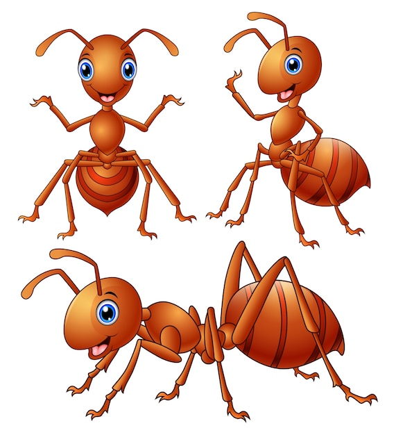 Vector illustration of Set of brown ants cartoon