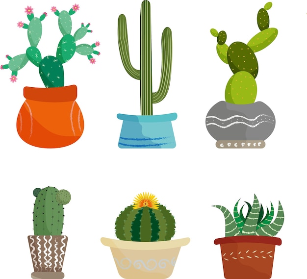 Vector illustration of a set of cacti of different shapes and species that grow in flower pots of various colors and shapes